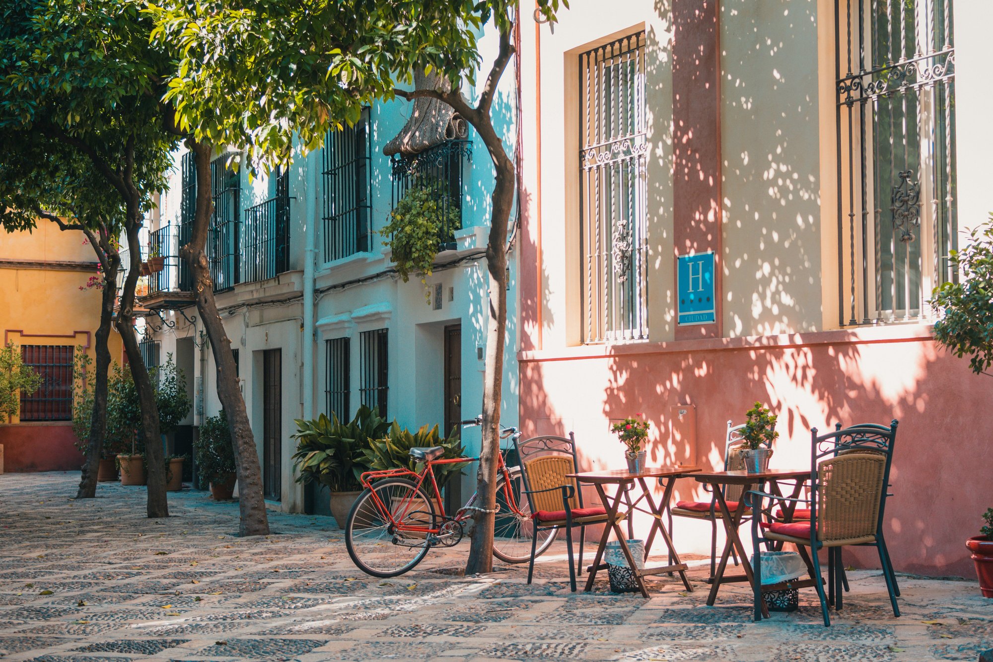 johan-mouchet-Z95viY3WaZs-unsplash johan-mouchet-Z95viY3WaZs-unsplash